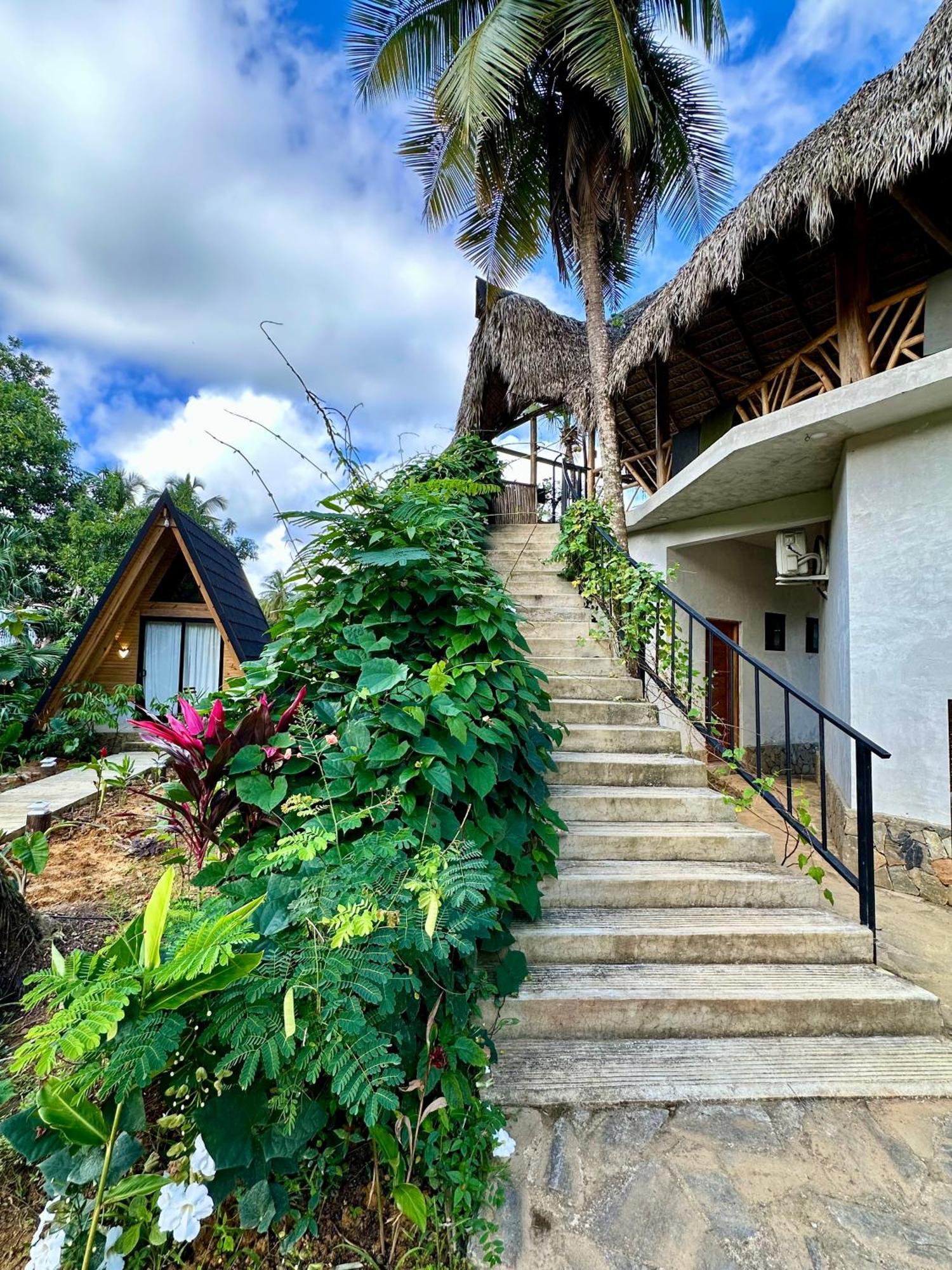 Leisy'S Garden Hostel & Rooms Samana Ngoại thất bức ảnh